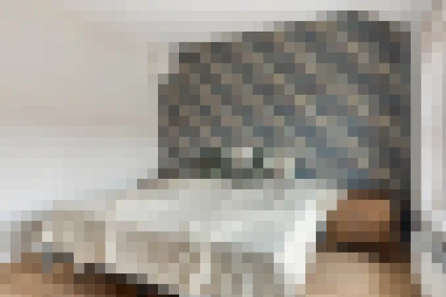 van Ostadestraat 10 Oostburg thumbnail 19