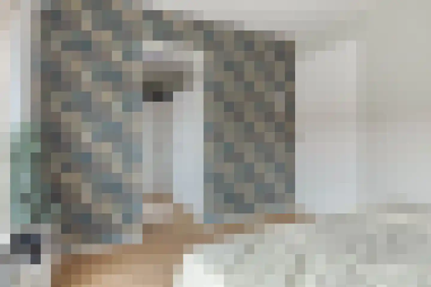 van Ostadestraat 10 Oostburg thumbnail 20