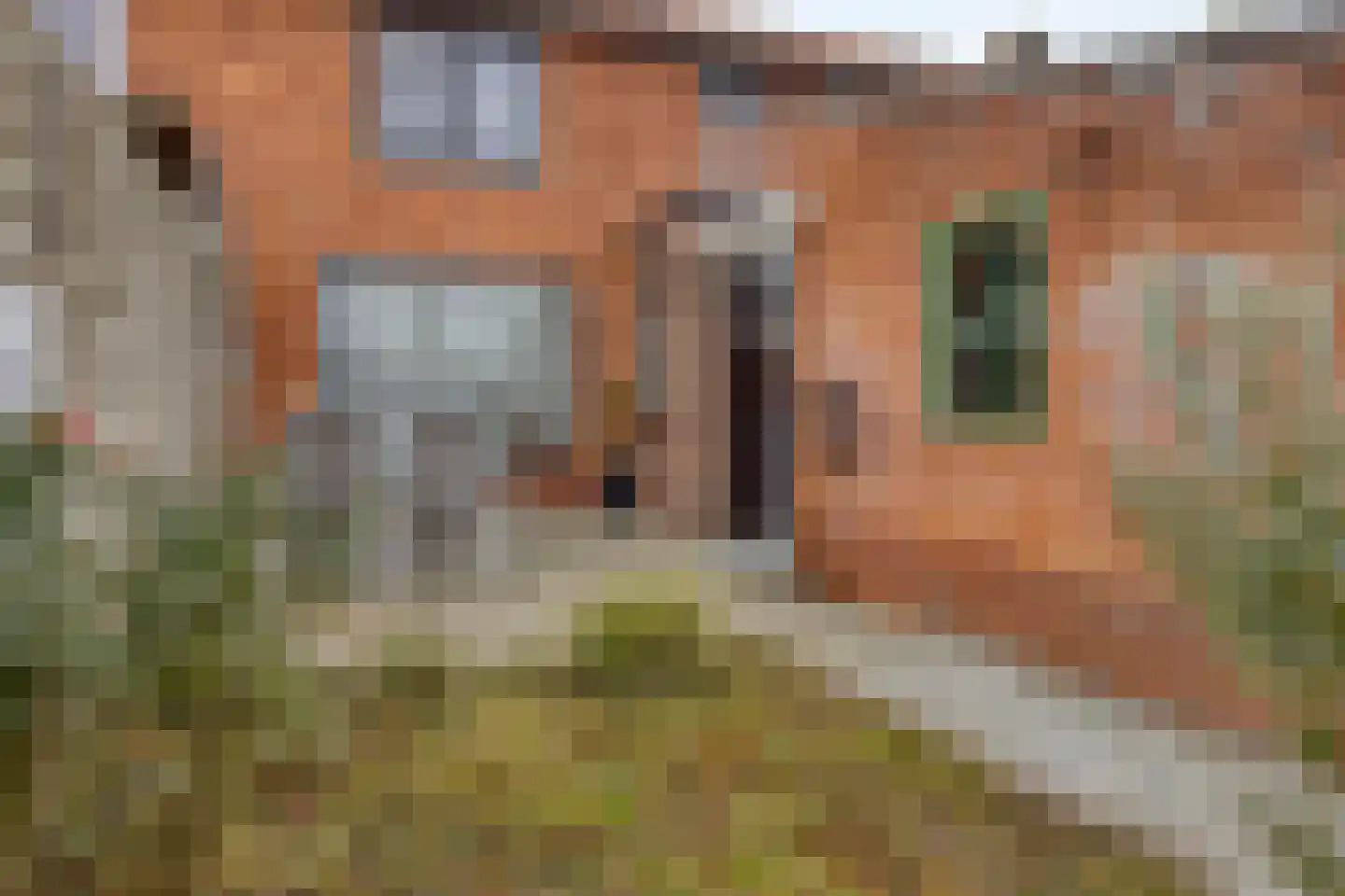 van Ostadestraat 10 Oostburg thumbnail 31