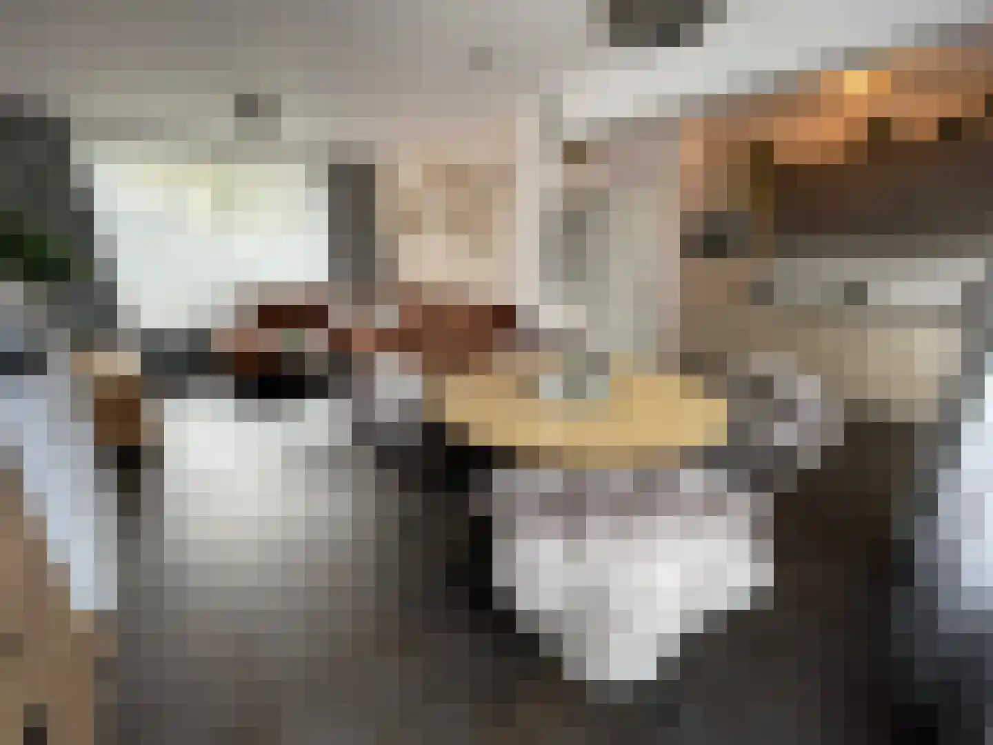 van Ostadestraat 10 Oostburg thumbnail 6