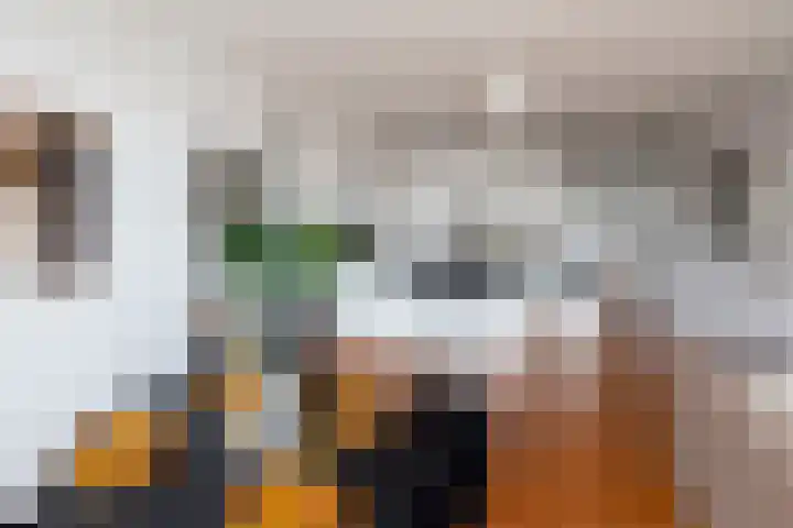 Van Ostadestraat 11 E Amsterdam thumbnail 15