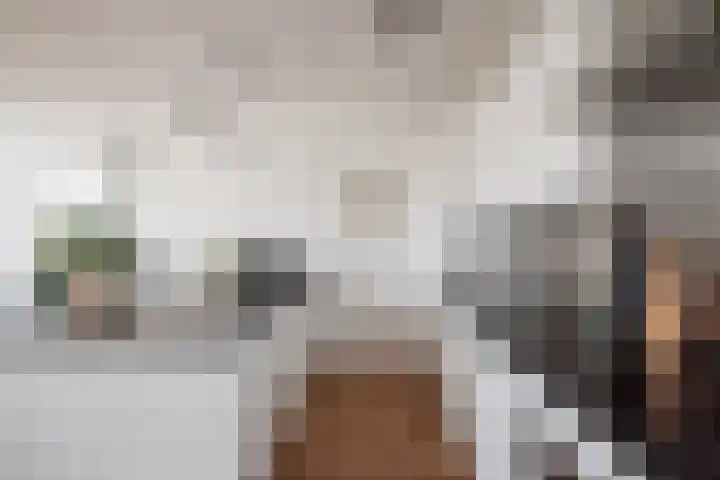 Van Ostadestraat 11 E Amsterdam thumbnail 20