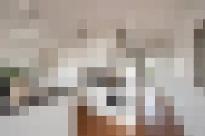 Van Ostadestraat 11 E Amsterdam thumbnail 26