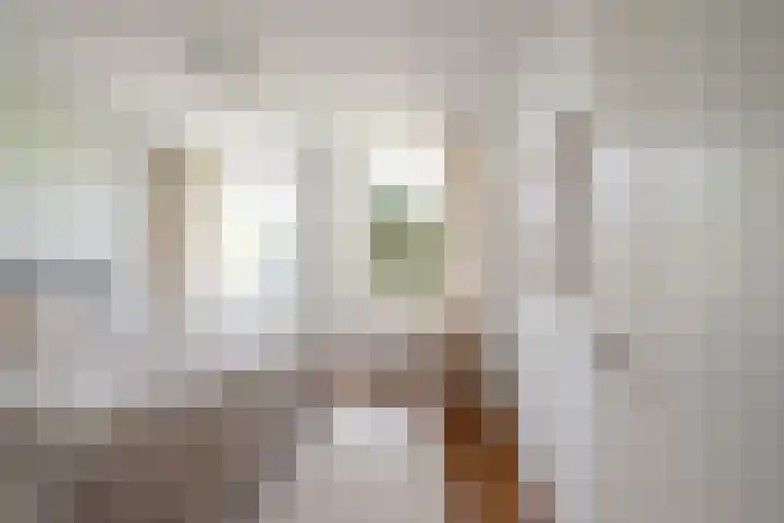 Van Ostadestraat 11 E Amsterdam thumbnail 29