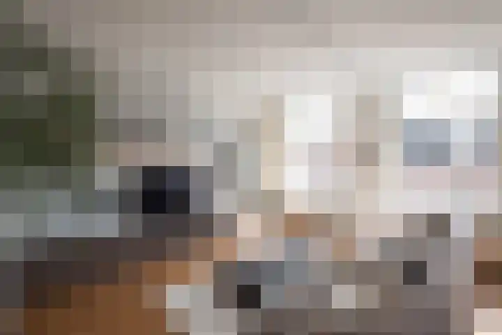 Van Ostadestraat 11 E Amsterdam thumbnail 7