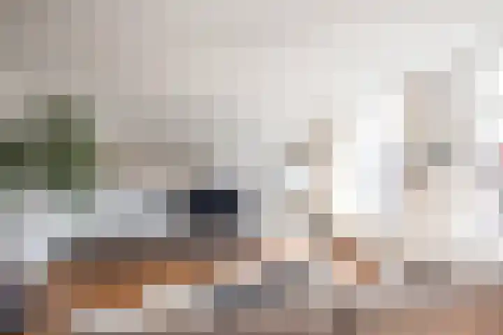 Van Ostadestraat 11 E Amsterdam thumbnail 8