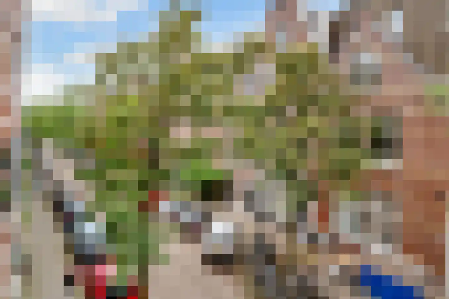 Van Ostadestraat 110 C Amsterdam thumbnail 16