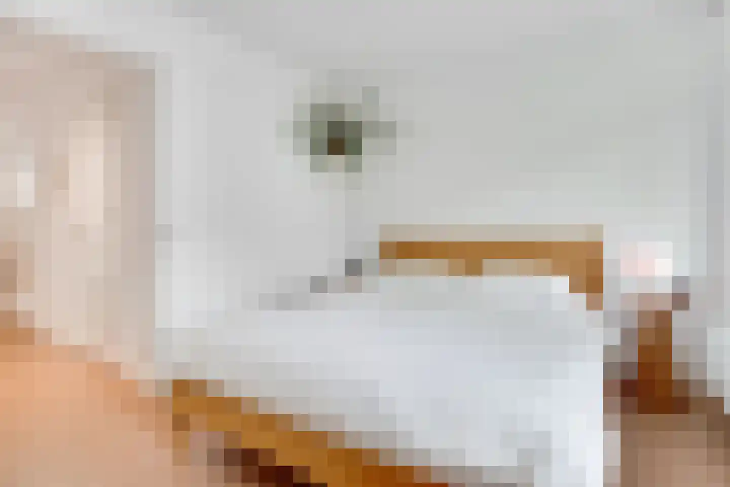 Van Ostadestraat 110 C Amsterdam thumbnail 23