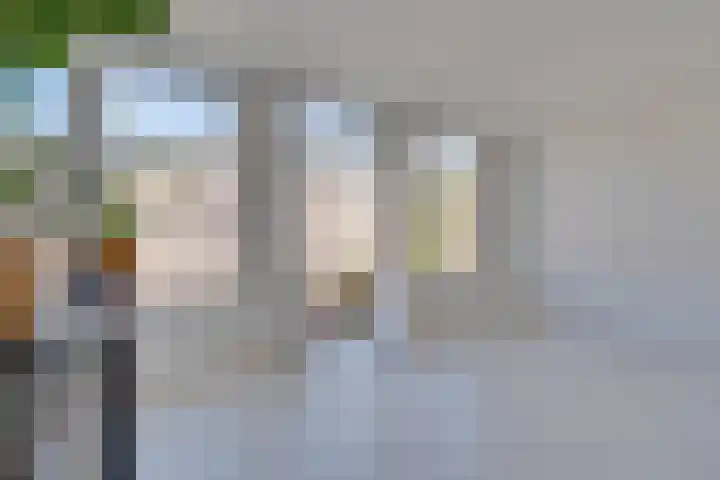Van Ostadestraat 12 3 Amsterdam thumbnail 11