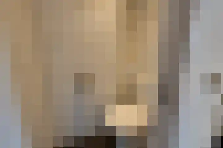 Van Ostadestraat 12 3 Amsterdam thumbnail 16
