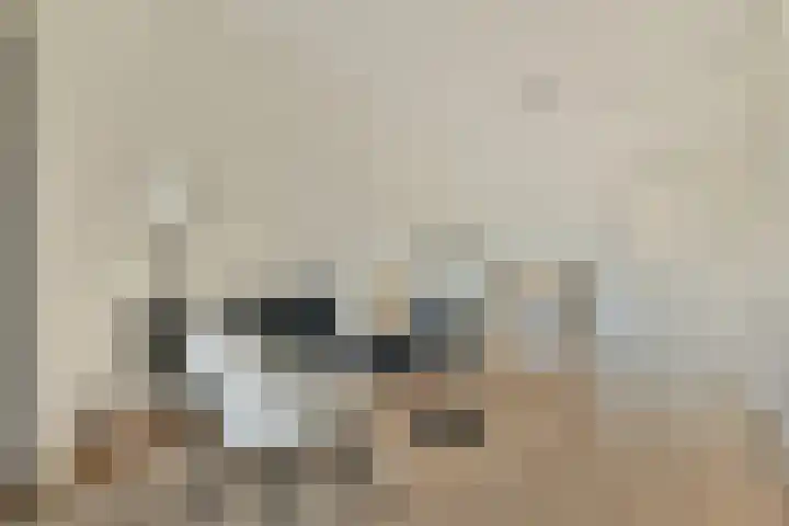 Van Ostadestraat 12 3 Amsterdam thumbnail 5