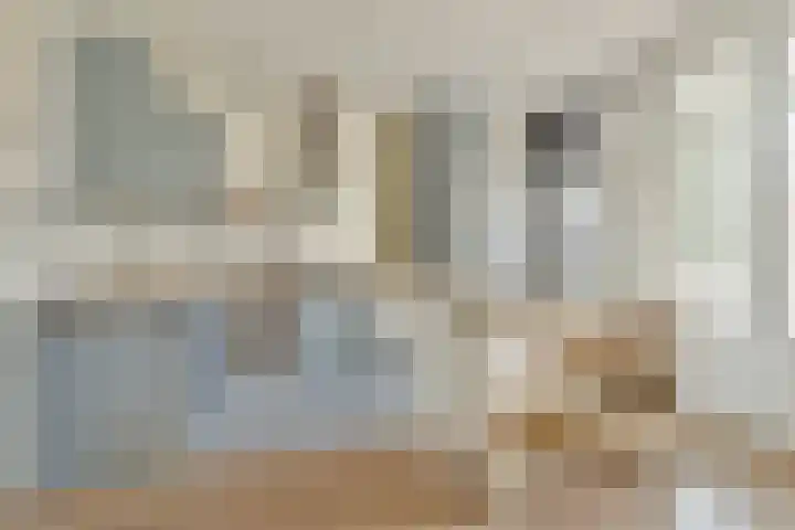 Van Ostadestraat 12 3 Amsterdam thumbnail 8