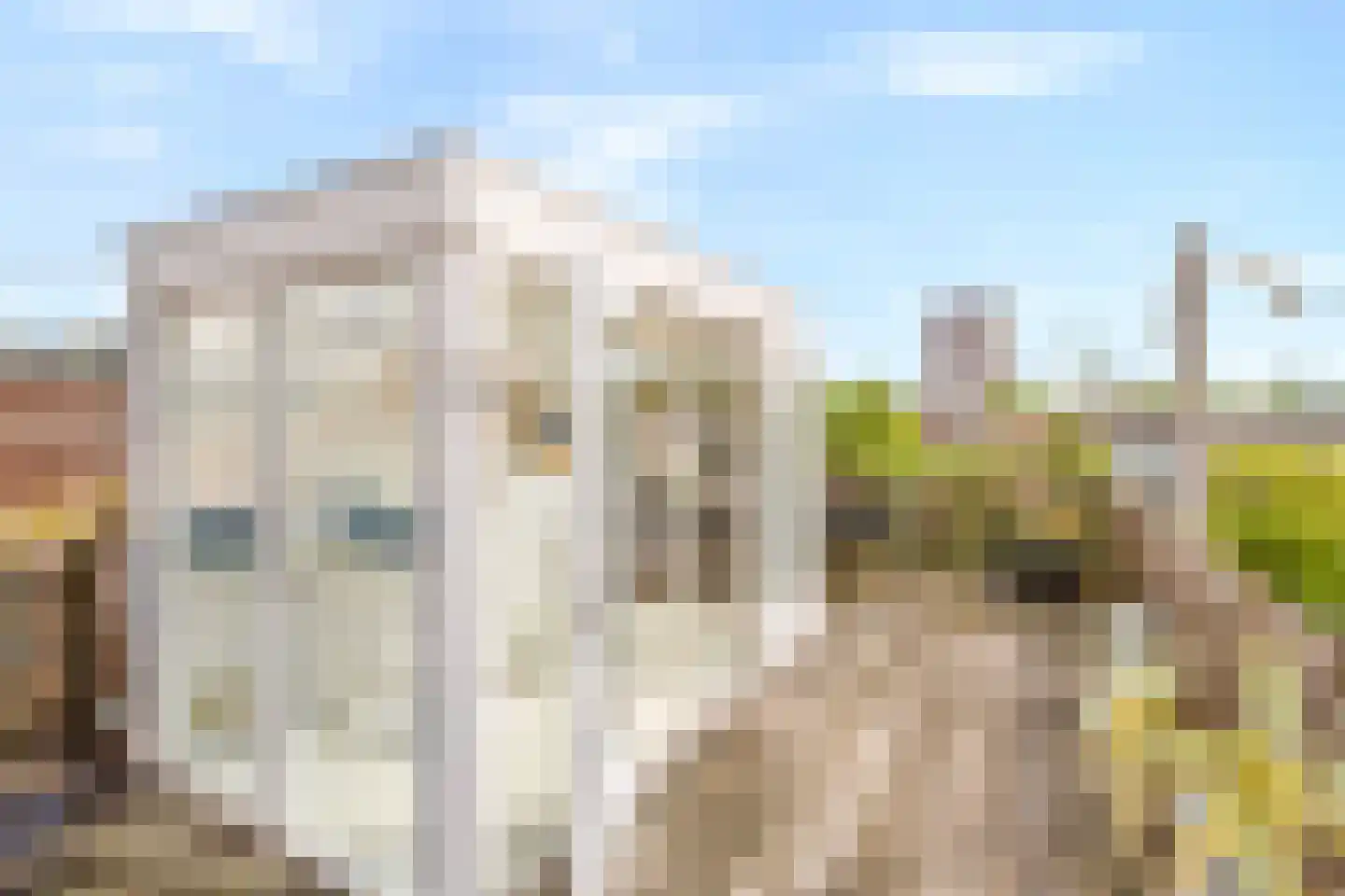 Van Ostadestraat 134 3 Amsterdam thumbnail 25