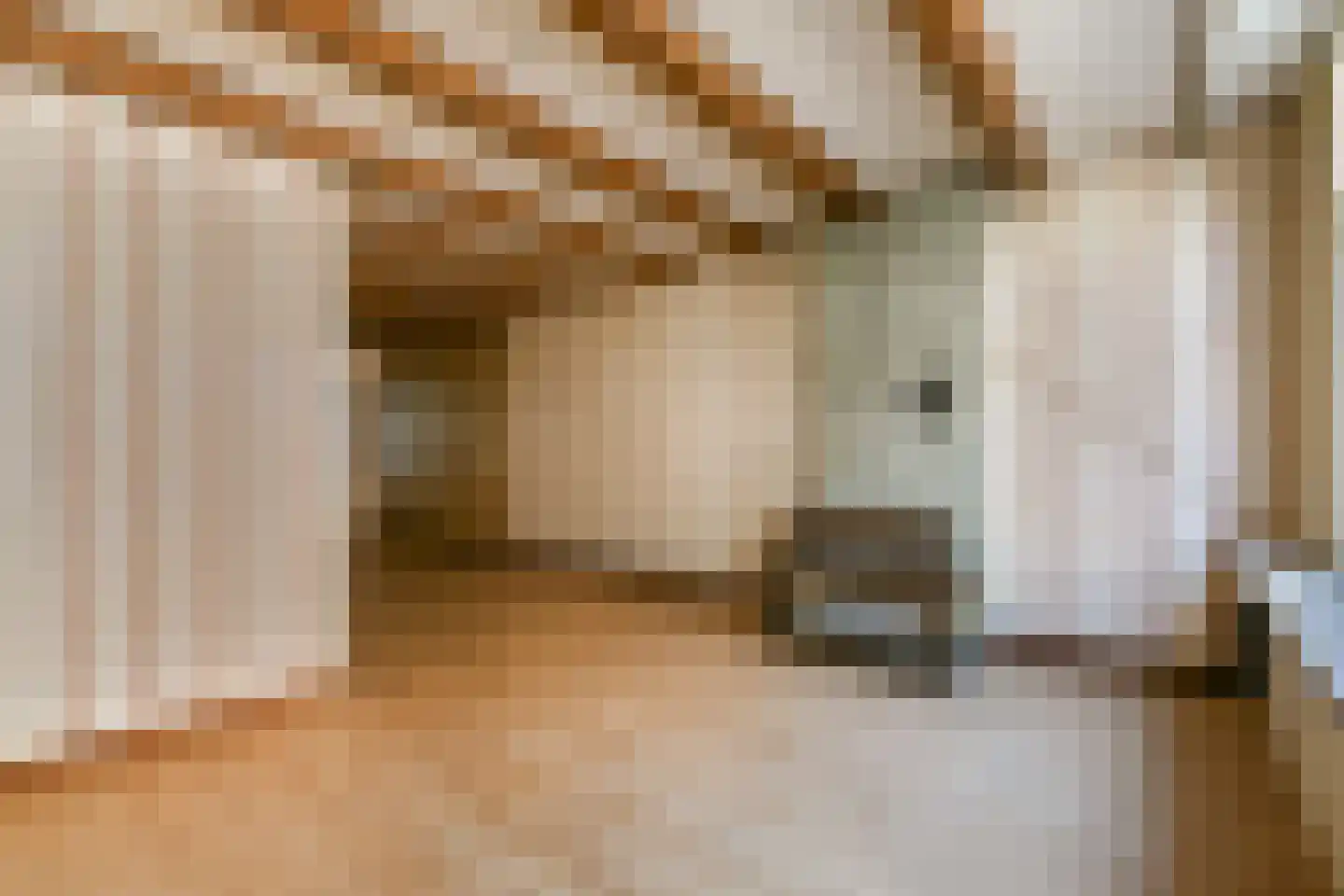 Van Ostadestraat 134 3 Amsterdam thumbnail 6