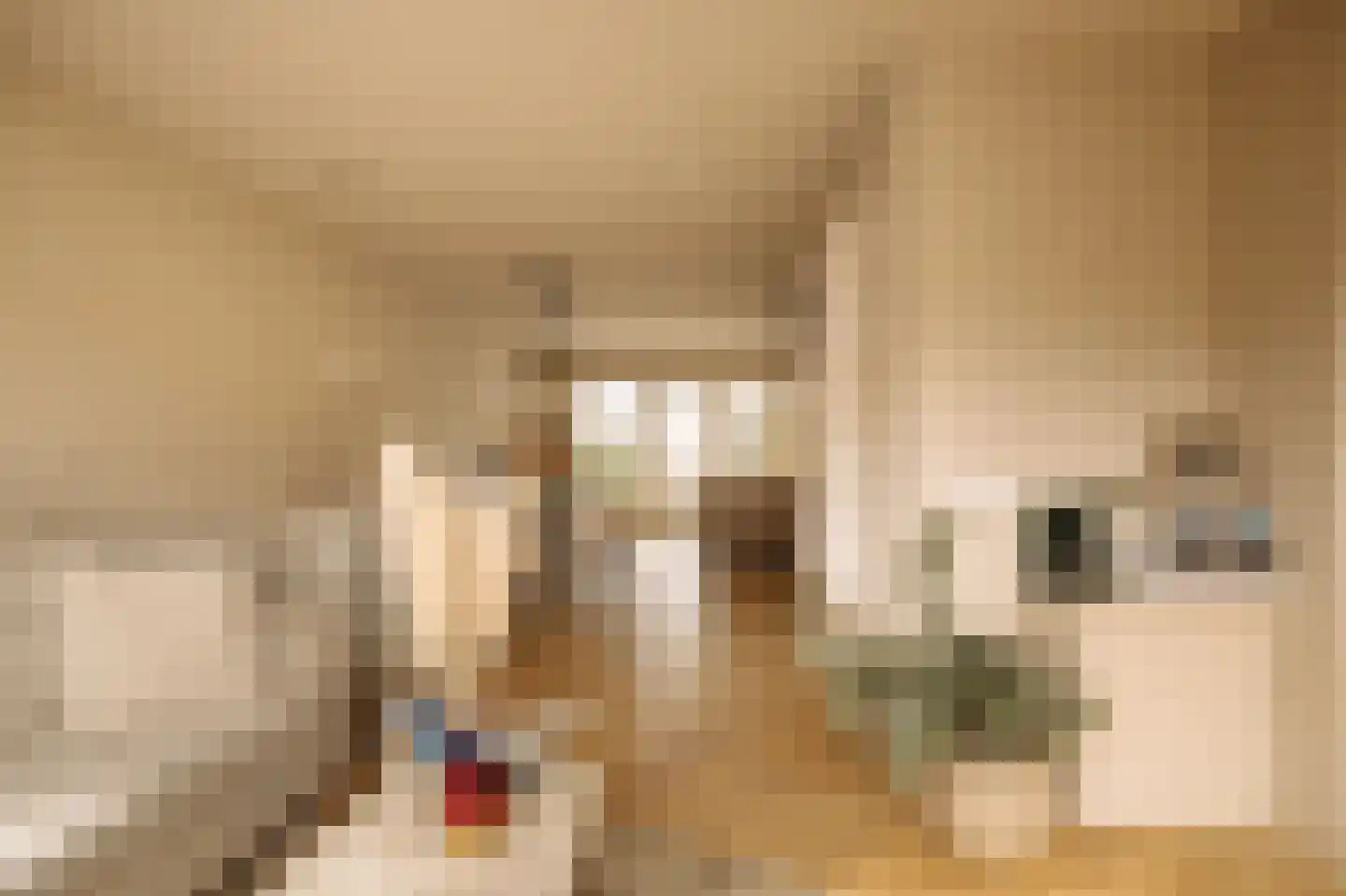 Van Ostadestraat 139 1 Amsterdam thumbnail 12