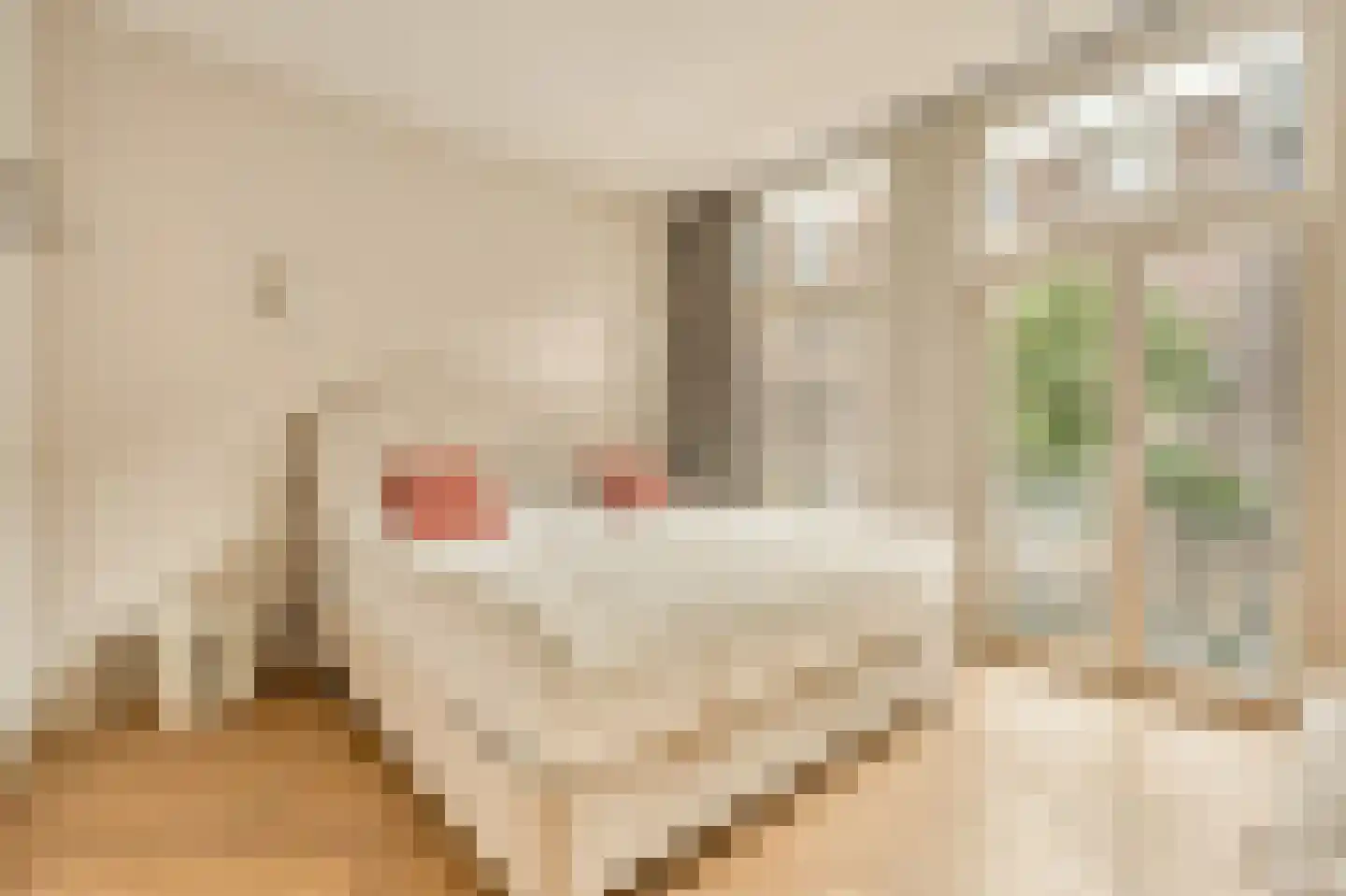 Van Ostadestraat 139 1 Amsterdam thumbnail 52