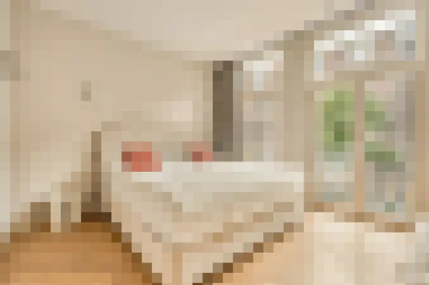 Van Ostadestraat 139 1 Amsterdam thumbnail 53