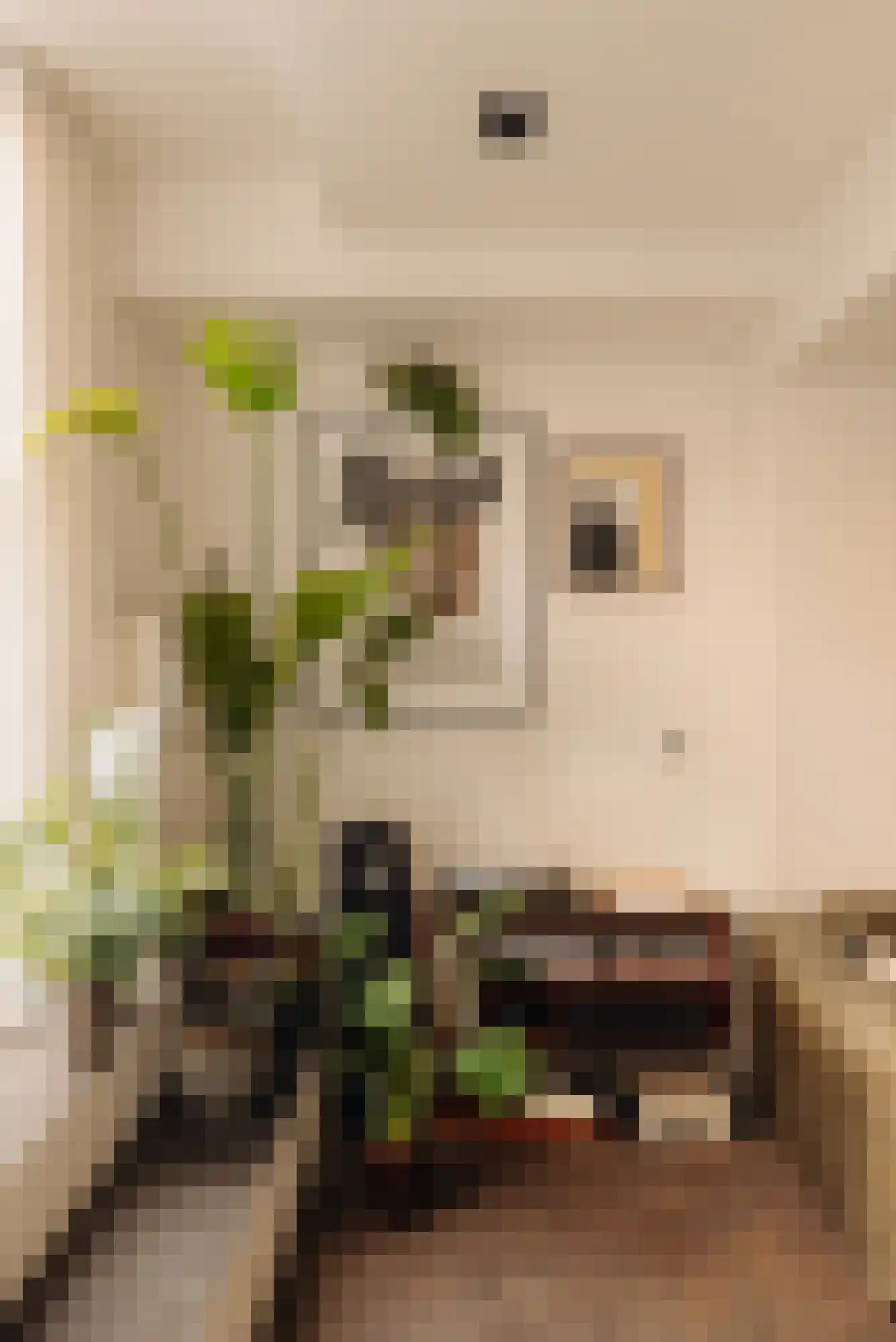 Van Ostadestraat 139 O Amsterdam thumbnail 11