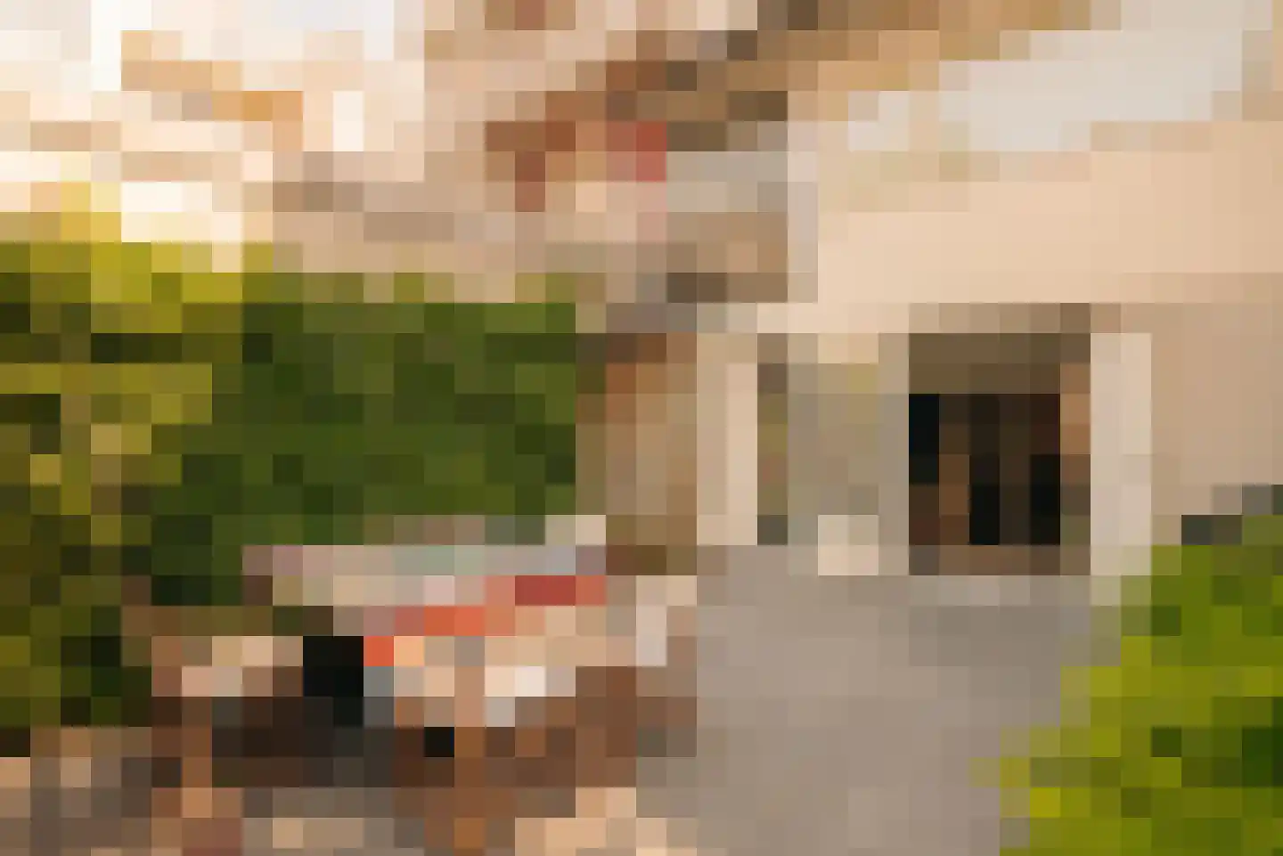 Van Ostadestraat 139 O Amsterdam thumbnail 15