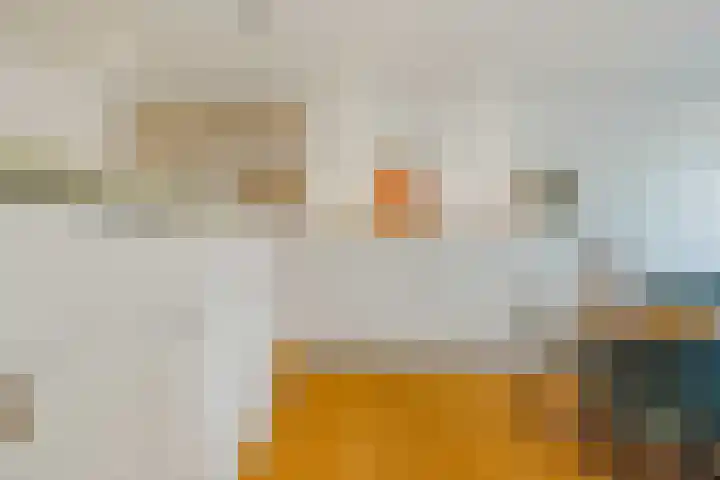 Van Ostadestraat 15 H Amsterdam thumbnail 7