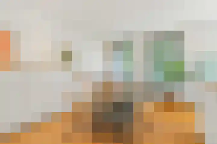 Van Ostadestraat 15 H Amsterdam thumbnail 8