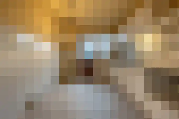van Ostadestraat 15 Oud-Beijerland thumbnail 12