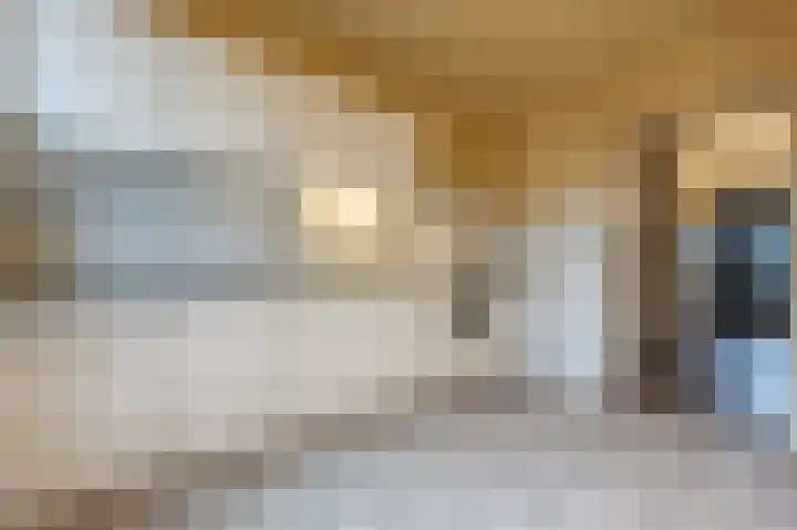 van Ostadestraat 15 Oud-Beijerland thumbnail 13