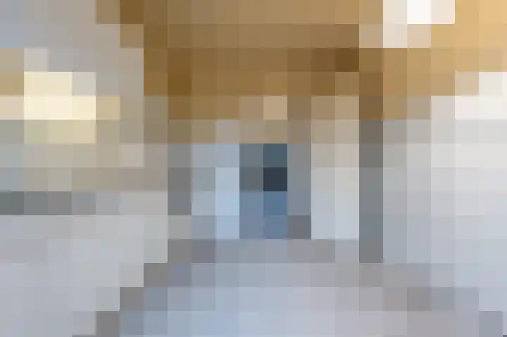 van Ostadestraat 15 Oud-Beijerland thumbnail 14