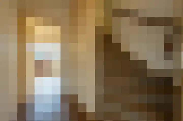 van Ostadestraat 15 Oud-Beijerland thumbnail 16