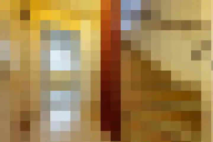 van Ostadestraat 15 Oud-Beijerland thumbnail 17