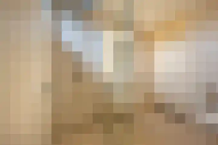 van Ostadestraat 15 Oud-Beijerland thumbnail 22