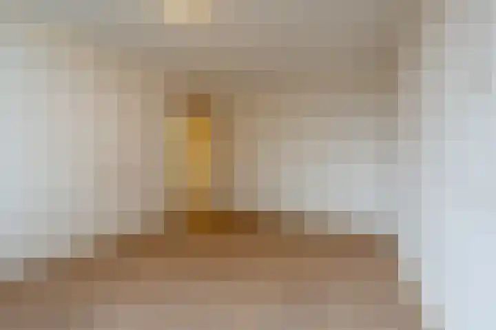 van Ostadestraat 15 Oud-Beijerland thumbnail 25