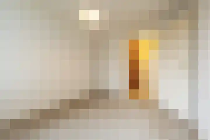 van Ostadestraat 15 Oud-Beijerland thumbnail 26