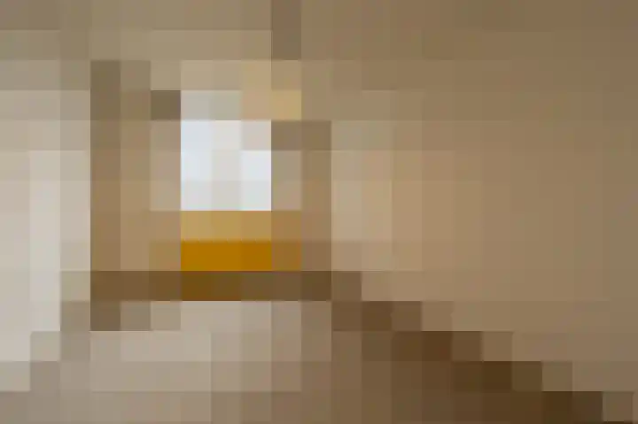 van Ostadestraat 15 Oud-Beijerland thumbnail 27