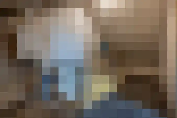 van Ostadestraat 15 Oud-Beijerland thumbnail 28
