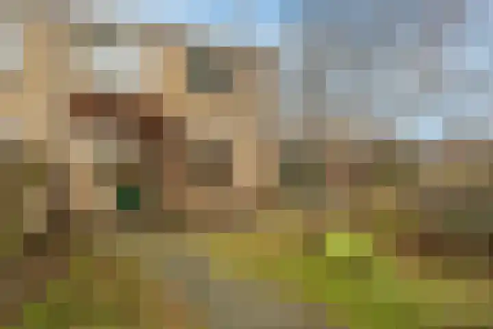 van Ostadestraat 15 Oud-Beijerland thumbnail 35