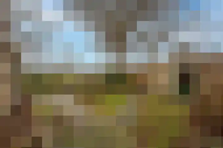 van Ostadestraat 15 Oud-Beijerland thumbnail 36