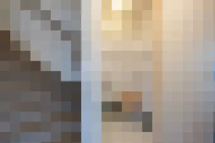 van Ostadestraat 15 Oud-Beijerland thumbnail 4