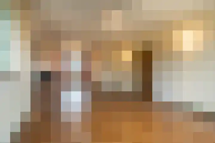 van Ostadestraat 15 Oud-Beijerland thumbnail 7
