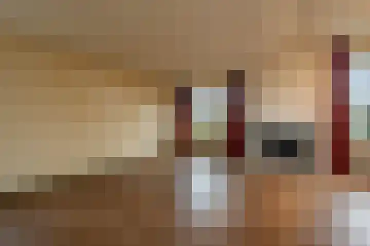 van Ostadestraat 15 Oud-Beijerland thumbnail 9