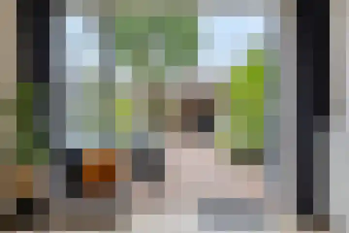Van Ostadestraat 16 Assen thumbnail 26