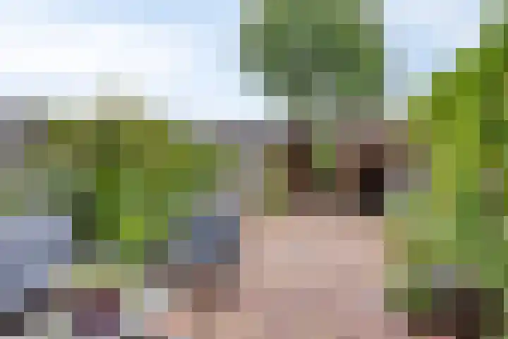 Van Ostadestraat 16 Assen thumbnail 27
