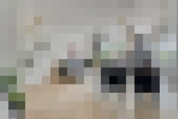 Van Ostadestraat 16 Assen thumbnail 6