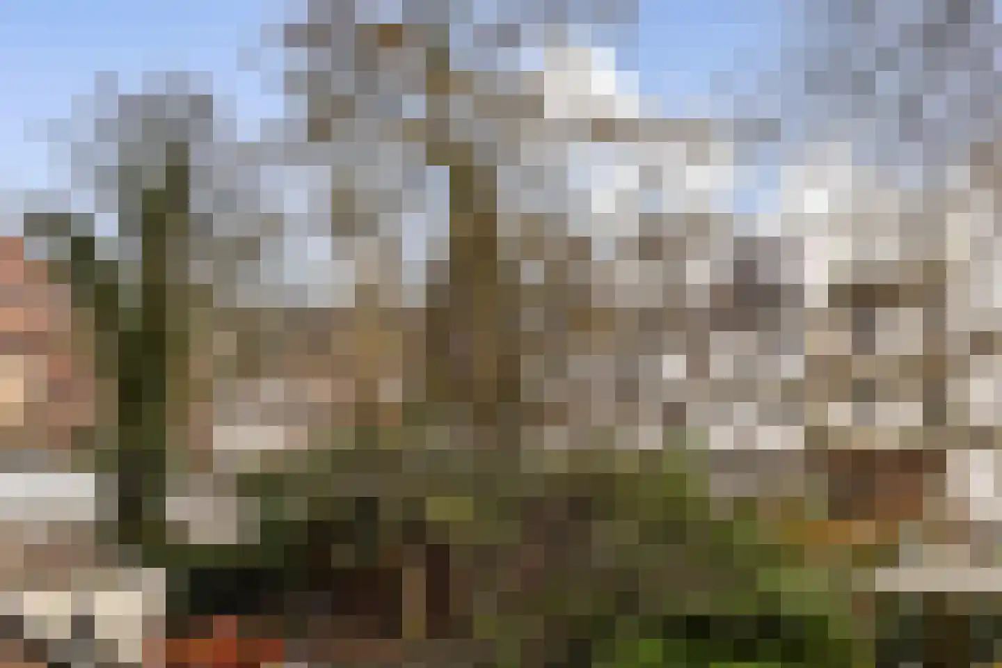 Van Ostadestraat 169 1 Amsterdam thumbnail 14
