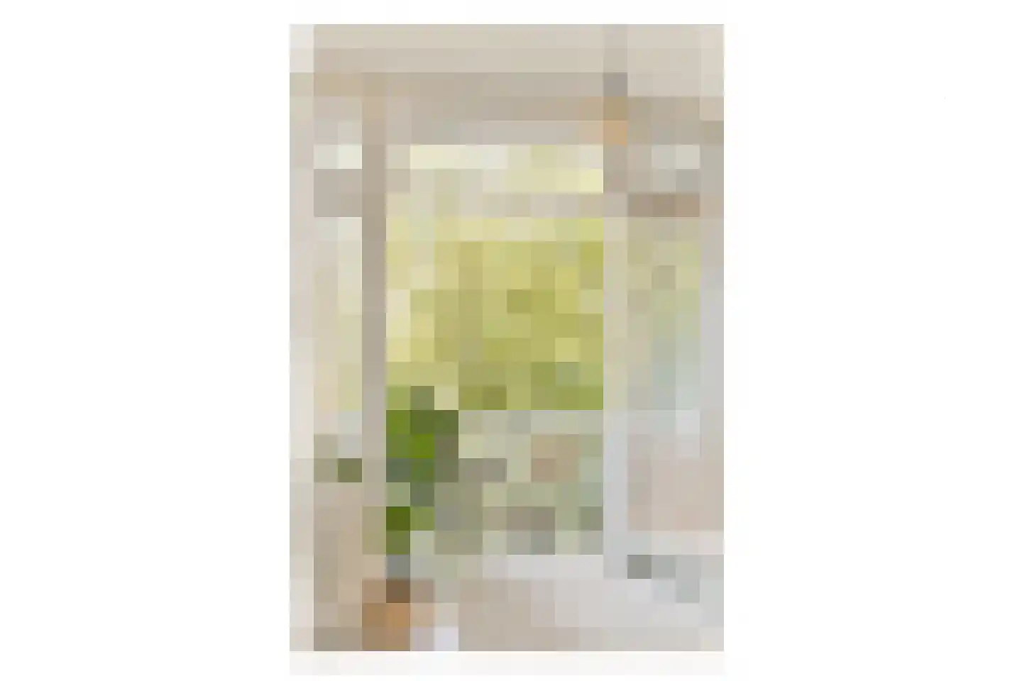 Van Ostadestraat 169 2 Amsterdam thumbnail 11
