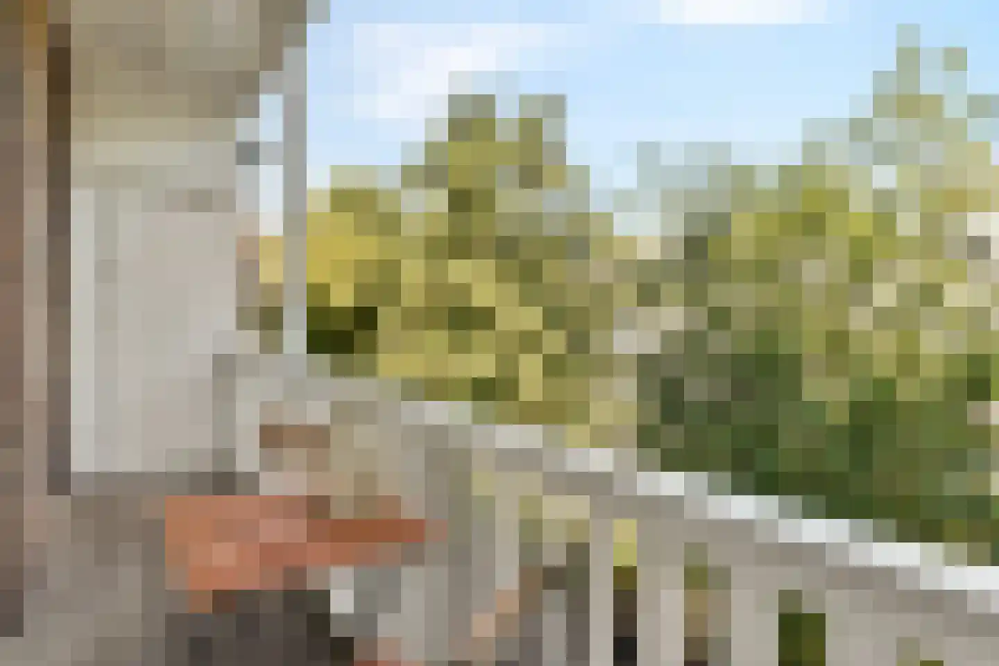 Van Ostadestraat 169 2 Amsterdam thumbnail 13