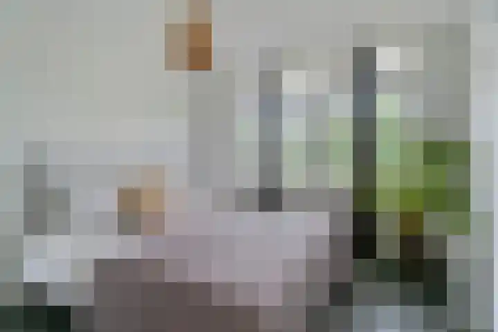 Van Ostadestraat 171 4 Amsterdam thumbnail 17
