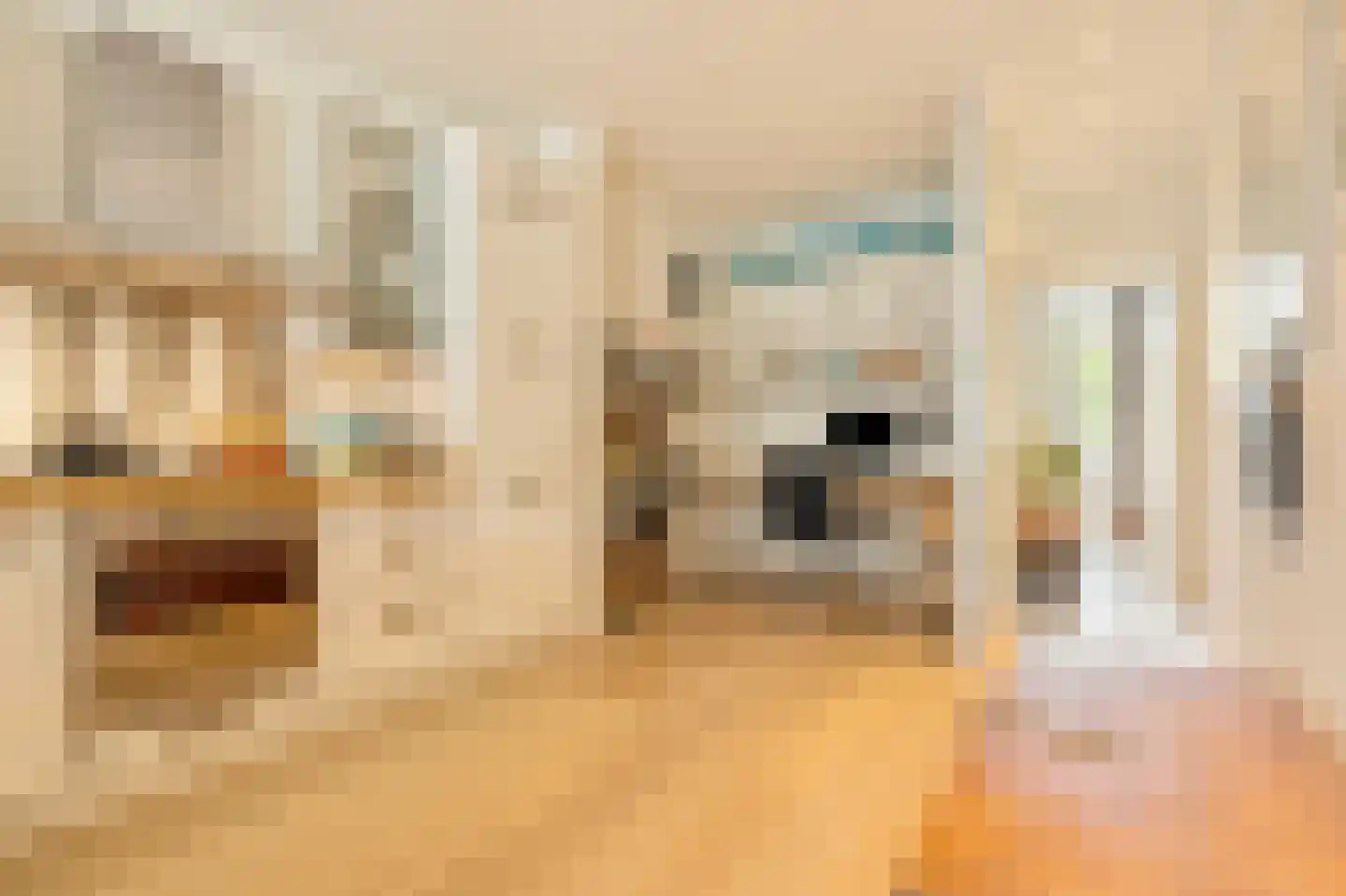 Van Ostadestraat 181 2 Amsterdam thumbnail 19