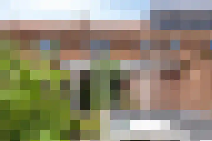 Van Ostadestraat 19 Deventer thumbnail 19