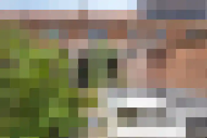 Van Ostadestraat 19 Deventer thumbnail 5